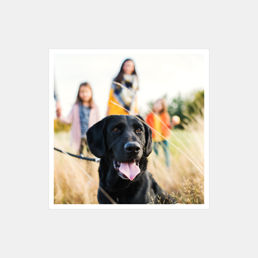 Foto Magnet 70x70 mm